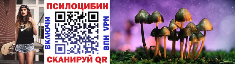 Псилоцибиновые грибы Psilocybine cubensis  Жигулёвск 